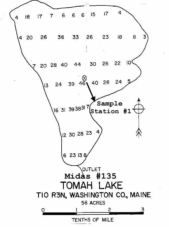 Lakes Of Maine Lake Overview Tomah Lake Forest Twp Washington Maine 7379
