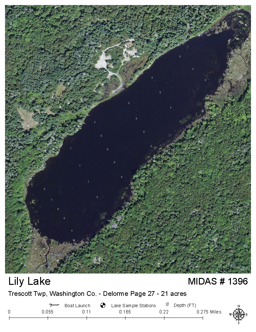 Lakes of Maine - Lake Overview - Lily Lake - Trescott Twp, Washington ...