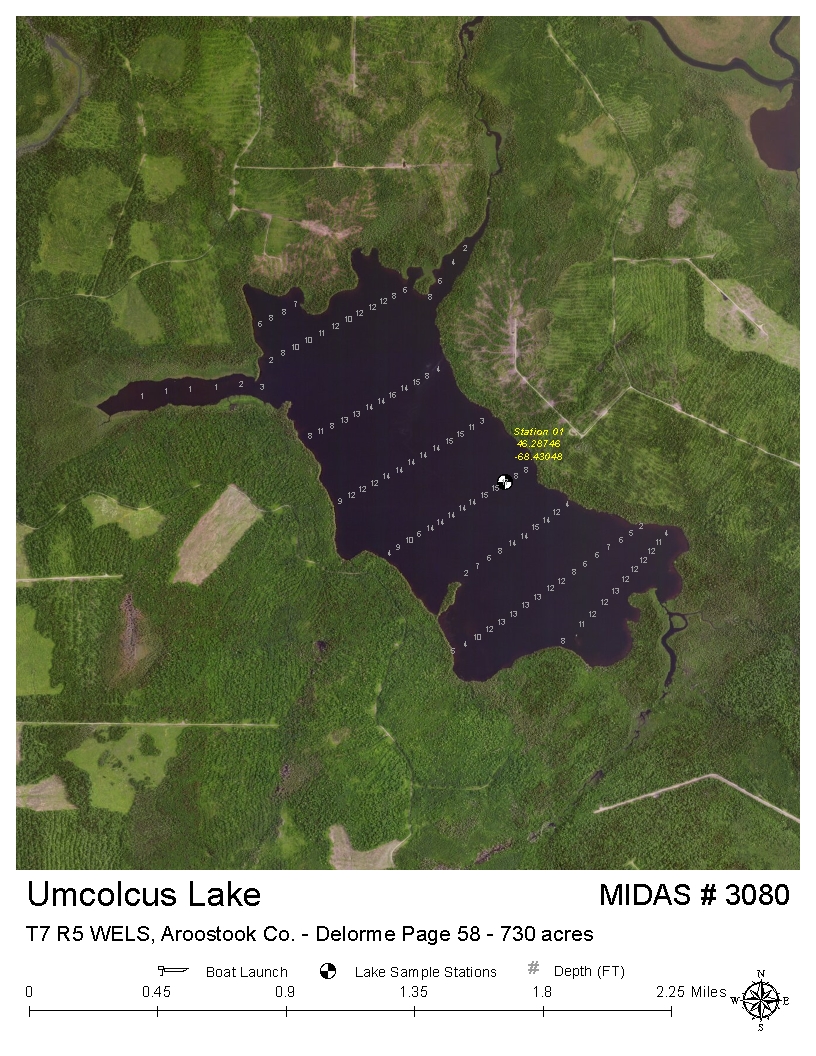 Lake Overview - Umcolcus Lake - T7 R5 WELS, T8 R5 WELS, T7 R6 WELS, T8 ...